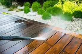 Fence Cleaning example 1
